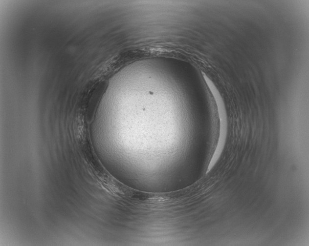 X0000061720704200512161555