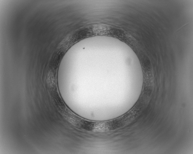 X0000061720705200512161555