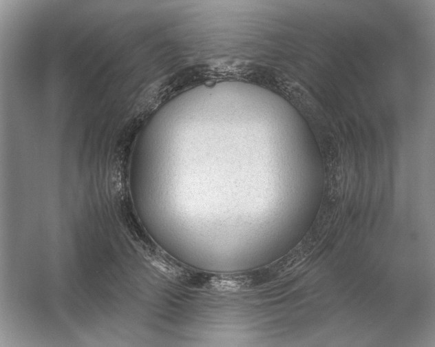 X0000061720706200512161555