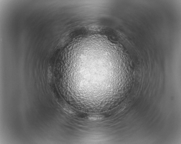 X0000061720707200512161555