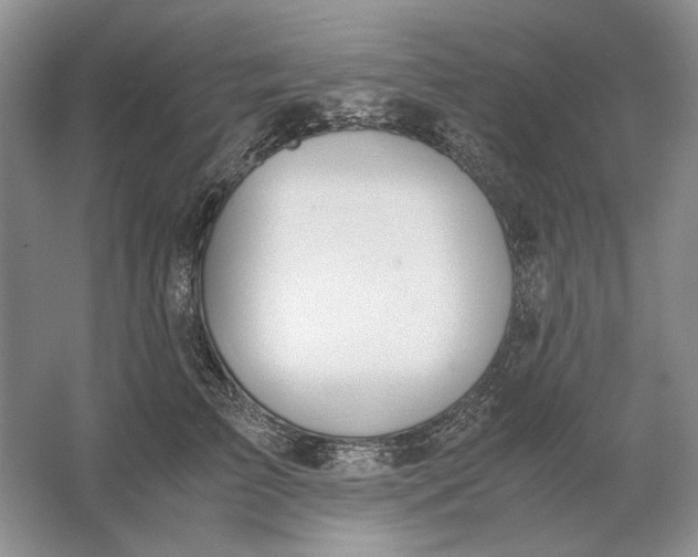 X0000061720709200512161555