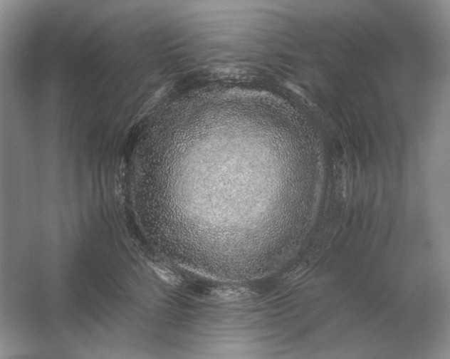 X0000061720712200512161555