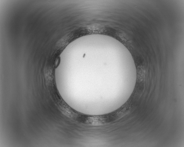 X0000061720713200512161555