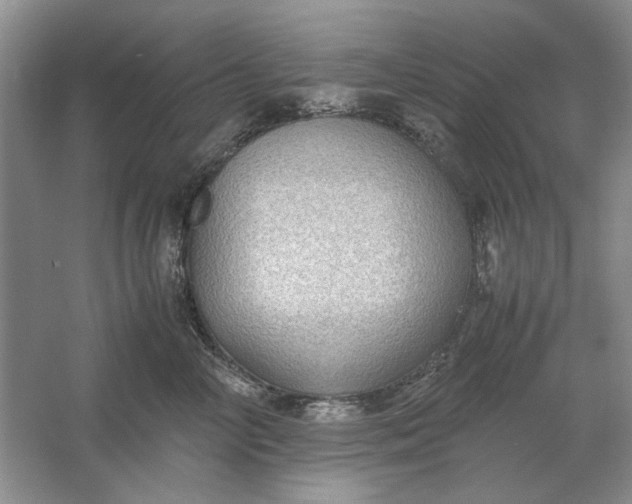 X0000061720714200512161555