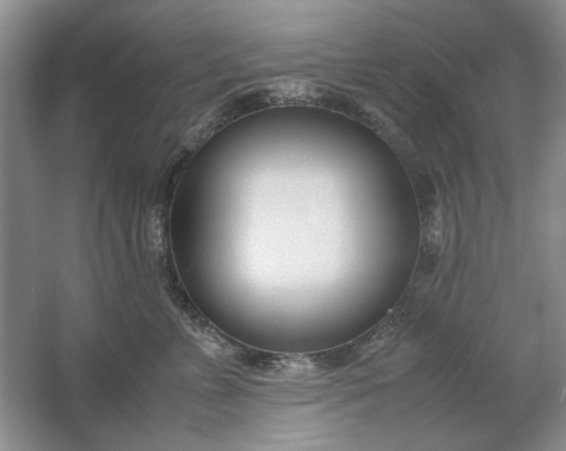 X0000061720715200512161555