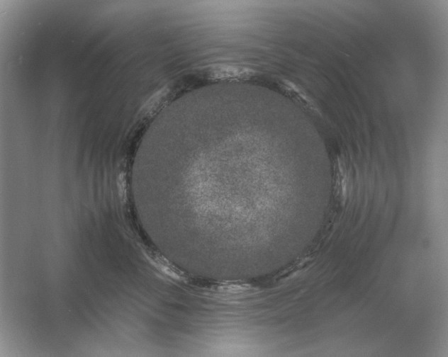 X0000061720716200512161555