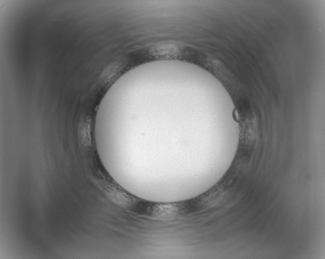 X0000061720717200512161555