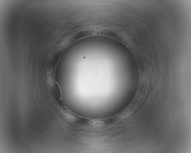 X0000061720719200512161555