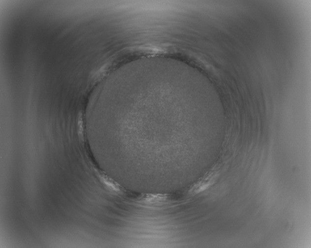 X0000061720720200512161555