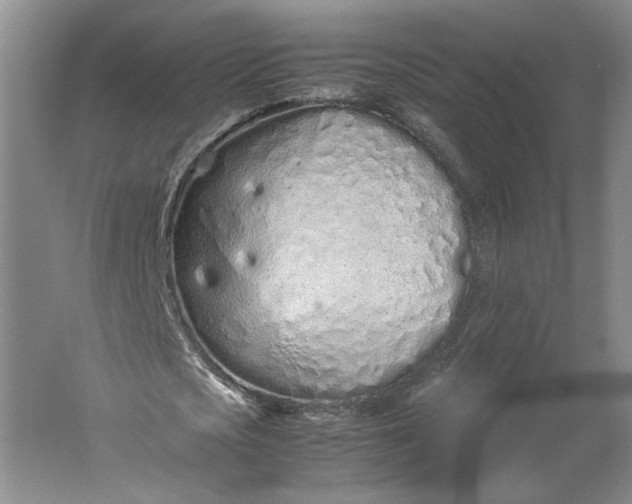 X0000061720721200512161554