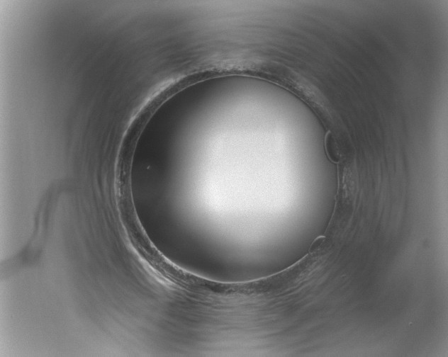 X0000061720722200512161554