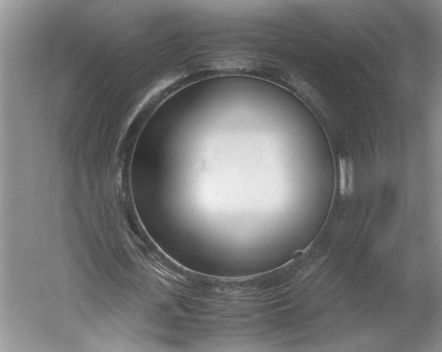 X0000061720723200512161554