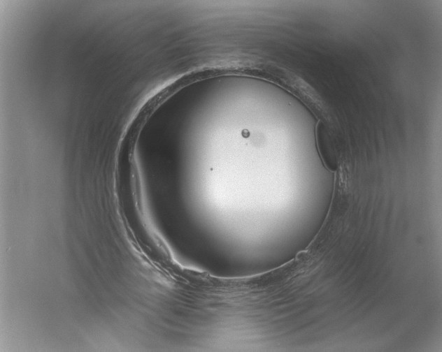 X0000061720724200512161554