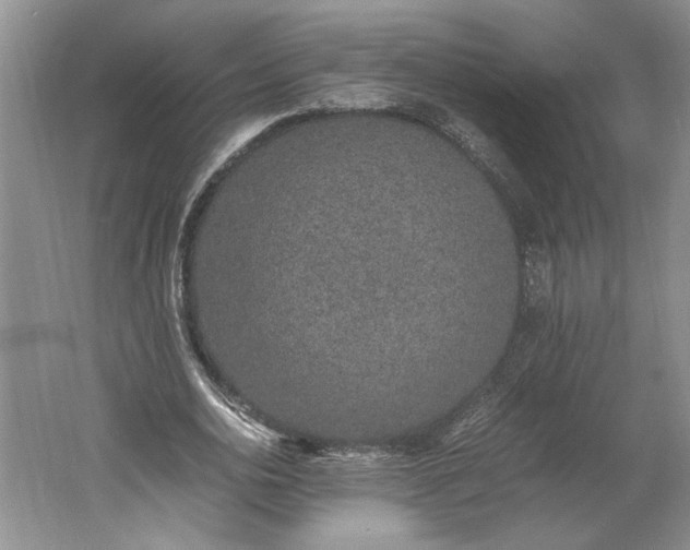 X0000061720726200512161554