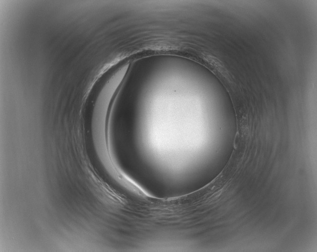 X0000061720727200512161554