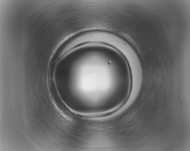 X0000061720728200512161554