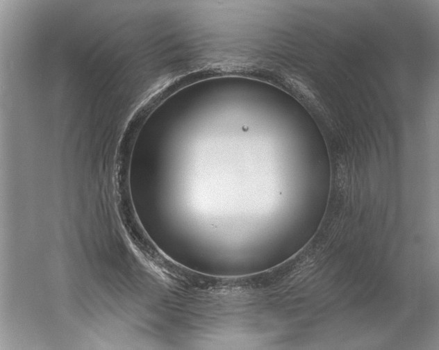 X0000061720730200512161554