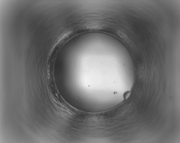 X0000061720731200512161554