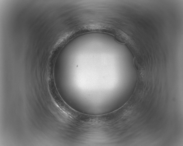 X0000061720732200512161554