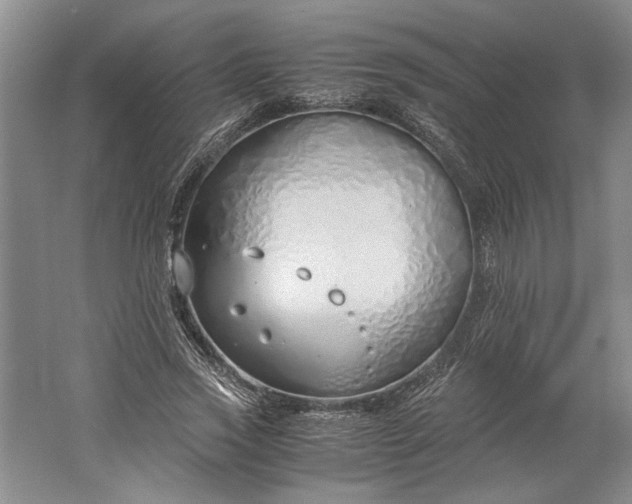 X0000061720733200512161554