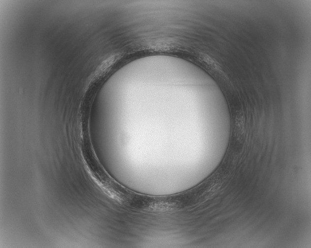 X0000061720734200512161554