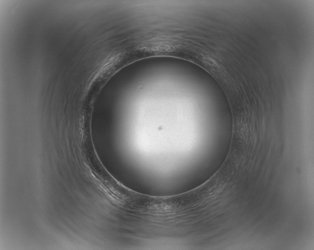 X0000061720735200512161554