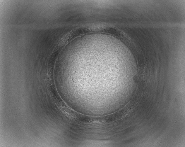 X0000061720737200512161554