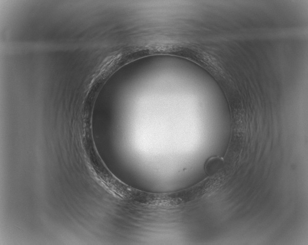 X0000061720738200512161554