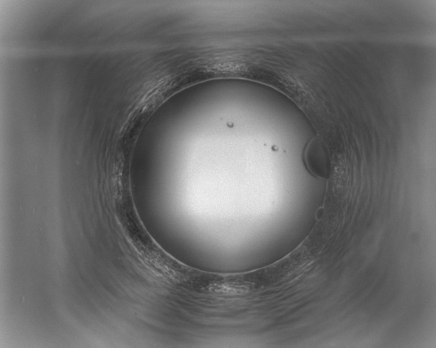 X0000061720739200512161554