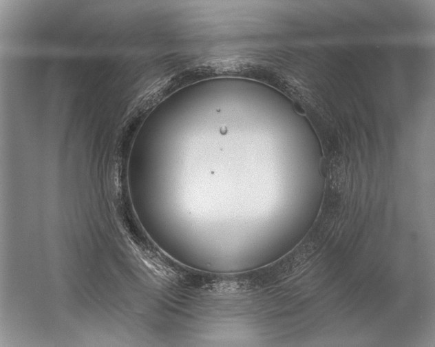 X0000061720740200512161554