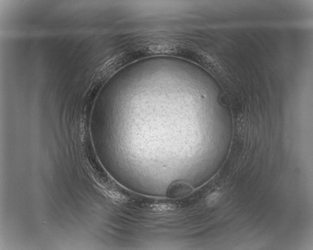 X0000061720741200512161555