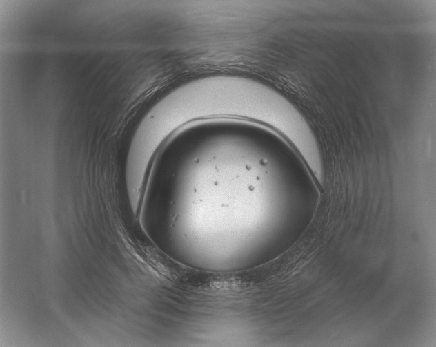 X0000061720744200512161555