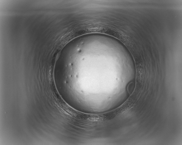 X0000061720745200512161555