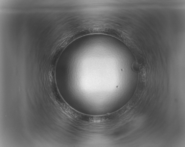 X0000061720746200512161555