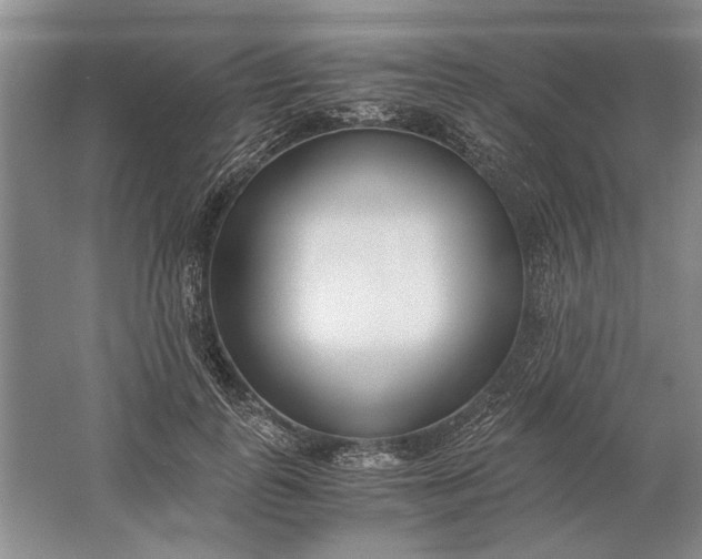 X0000061720747200512161555