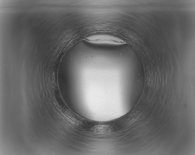 X0000061720748200512161555