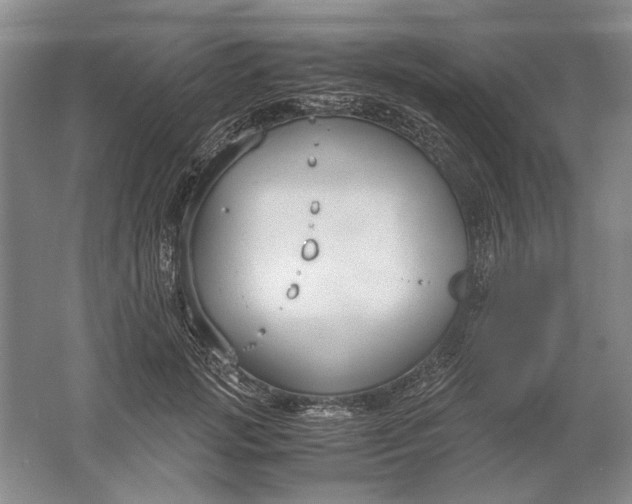 X0000061720749200512161555