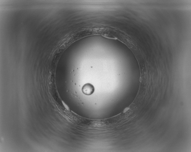 X0000061720750200512161555