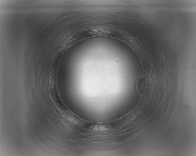 X0000061720751200512161555