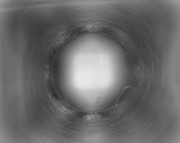 X0000061720752200512161555