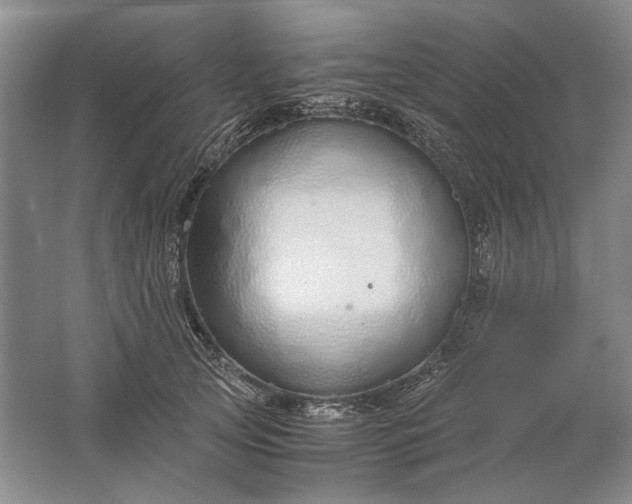 X0000061720753200512161555