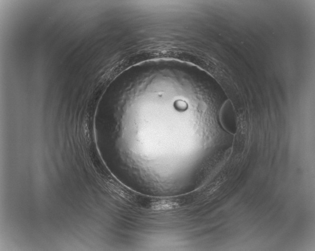 X0000061720754200512161555