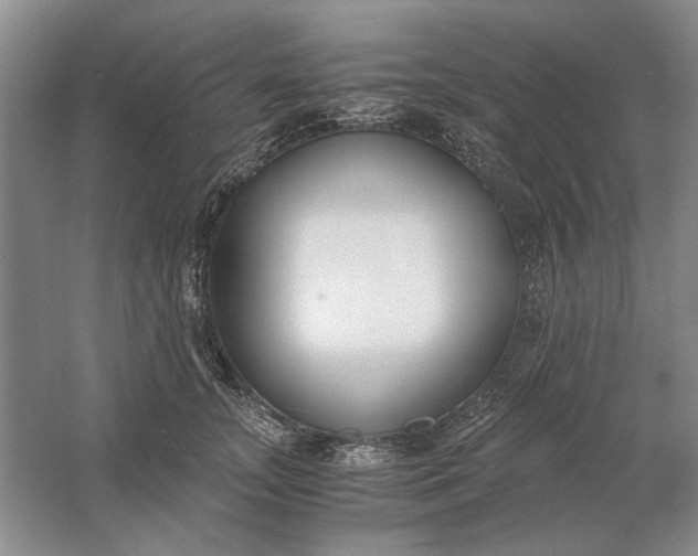 X0000061720755200512161555