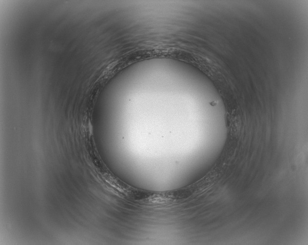 X0000061720756200512161555