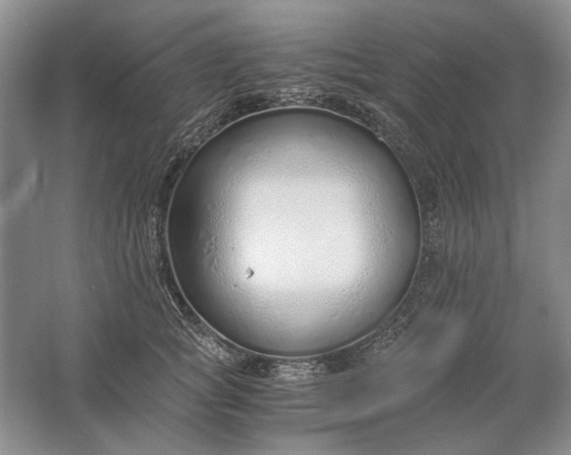 X0000061720757200512161555