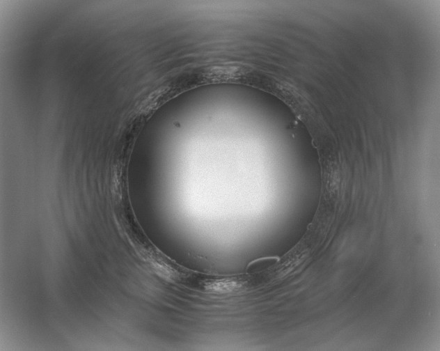 X0000061720759200512161555