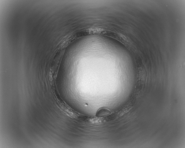 X0000061720761200512161555