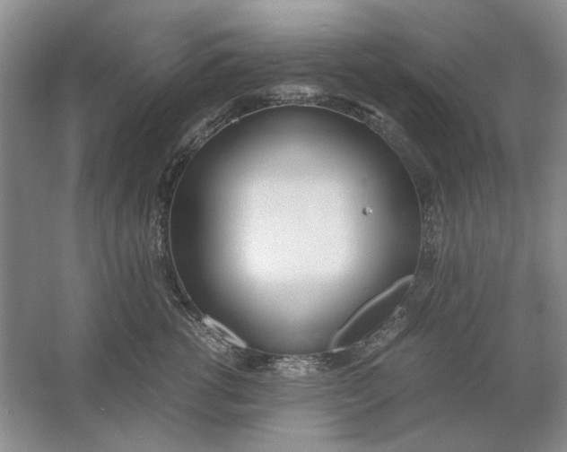 X0000061720762200512161555