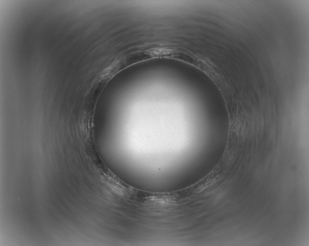 X0000061720763200512161555