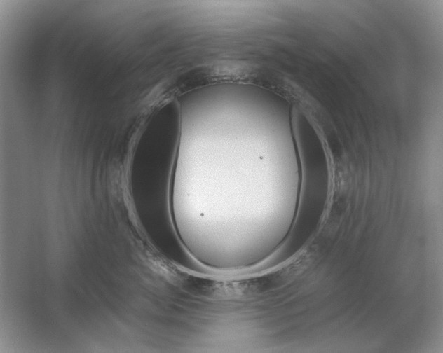 X0000061720764200512161555